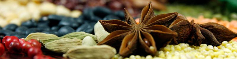 Ausgewogene Mahlzeit zur Ernährung nach den 5 Elementen der Traditionellen Chinesischen Medizin mit frischen, bunten Zutaten.